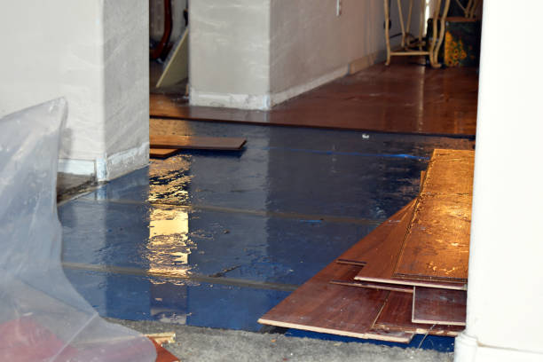 Professional Burst Pipe Cleanup technician working in West Farmington, ME